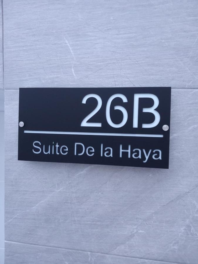 Apartamentos De La Haya & Suite Con Jacuzzi, Junto Al Teatro Romano 梅里达 外观 照片