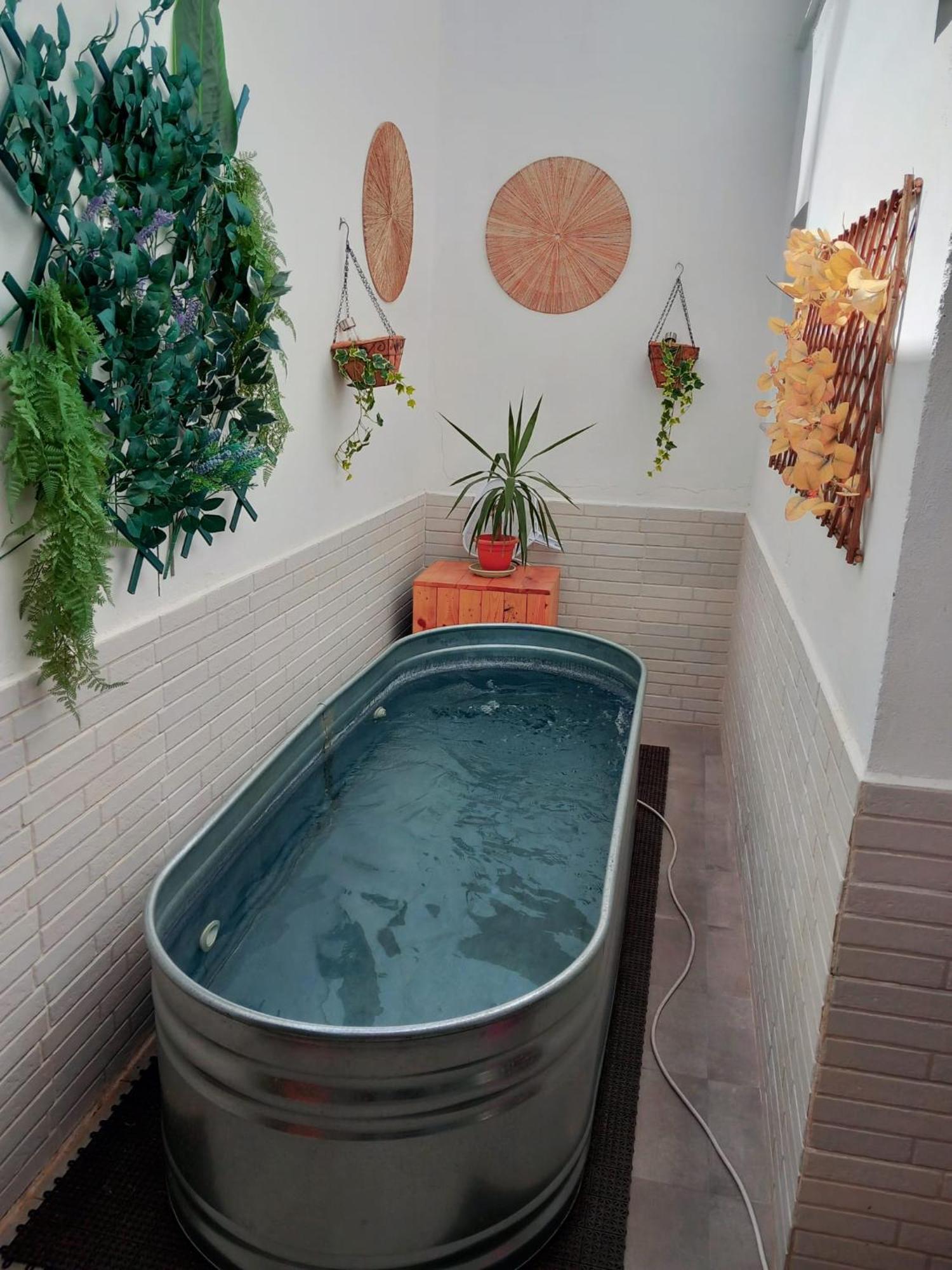 Apartamentos De La Haya & Suite Con Jacuzzi, Junto Al Teatro Romano 梅里达 外观 照片