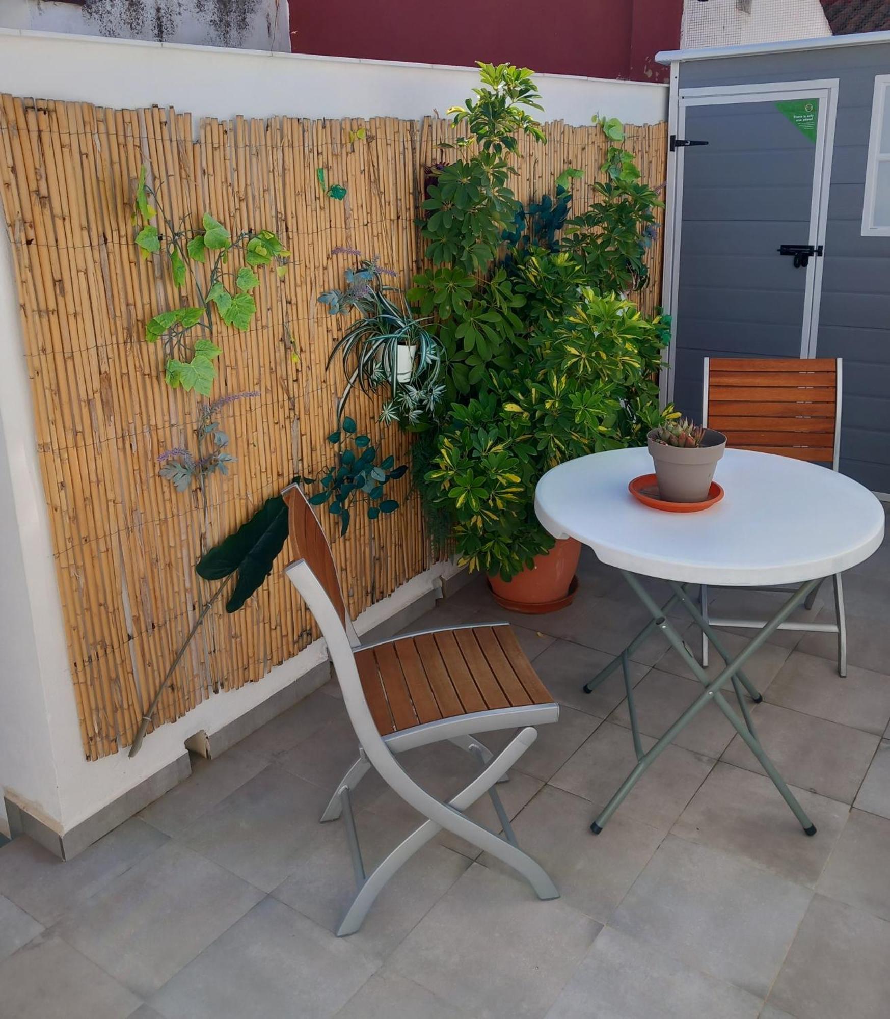 Apartamentos De La Haya & Suite Con Jacuzzi, Junto Al Teatro Romano 梅里达 外观 照片